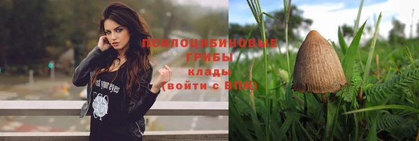 трава Алзамай