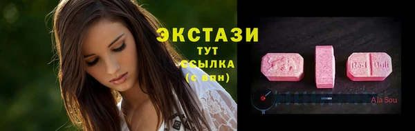 стаф Алексин