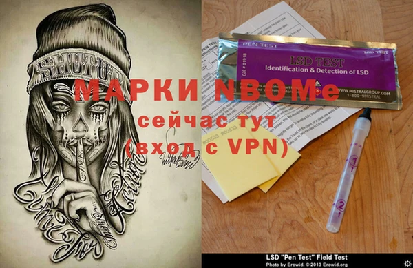 ГАЛЛЮЦИНОГЕННЫЕ ГРИБЫ Аркадак