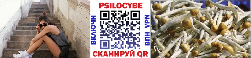 МЕГА рабочий сайт Донской Псилоцибиновые грибы GOLDEN TEACHER