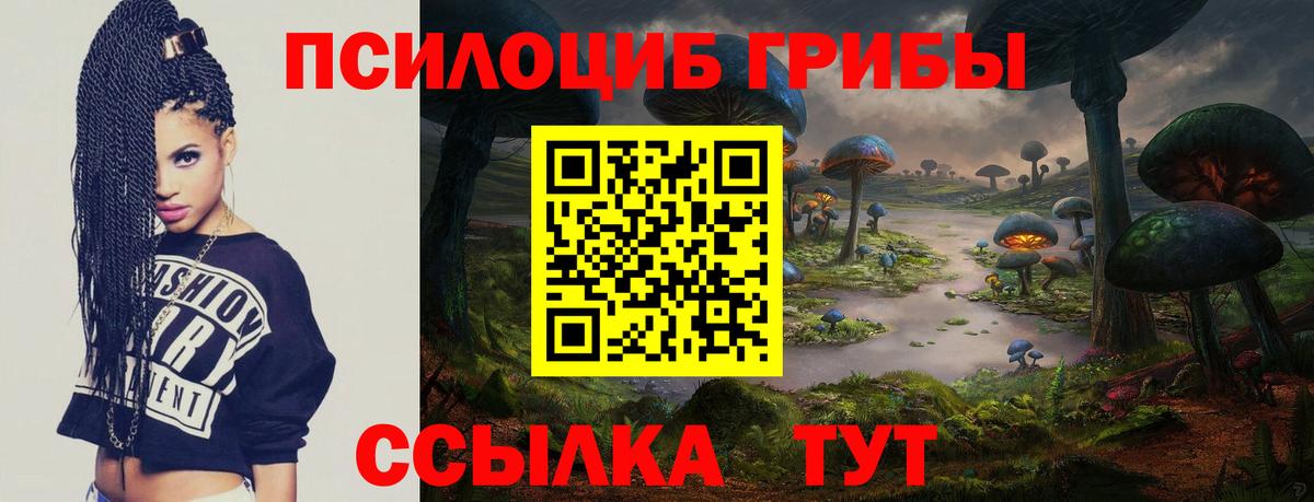 Псилоцибиновые грибы MAGIC MUSHROOMS Донской