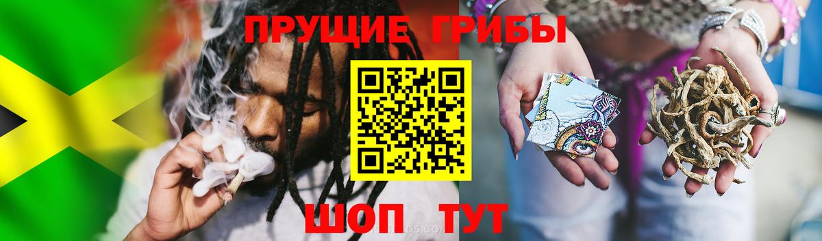 Псилоцибиновые грибы Psilocybine cubensis  Вход с VPN  Донской 