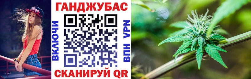 где найти наркотики  Донской  Канабис сатива 