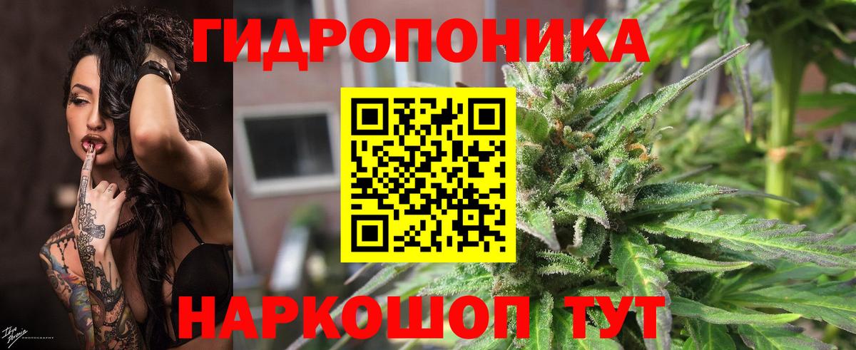 Донской  Канабис OG Kush  Марихуана THC 21%  МАРИХУАНА OG Kush  Вход с VPN 